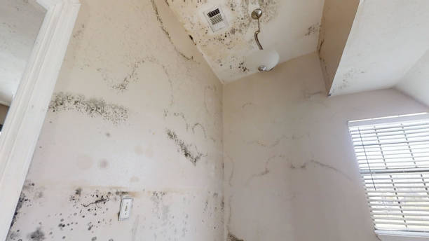 Best Indoor Air Quality Assessment  in Salem, NJ