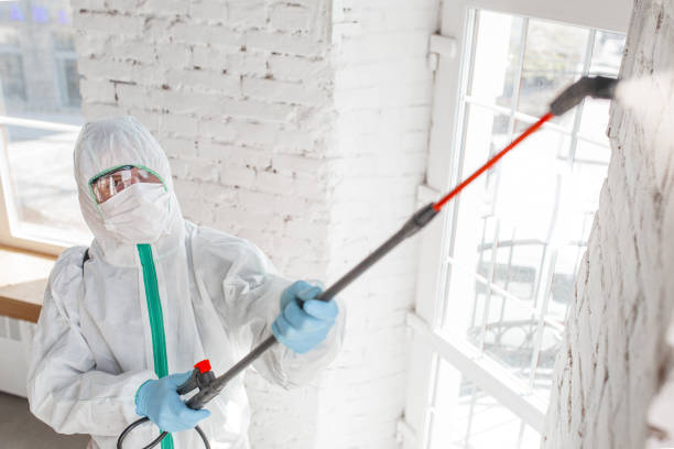 Best Mold Odor Removal Services  in Salem, NJ