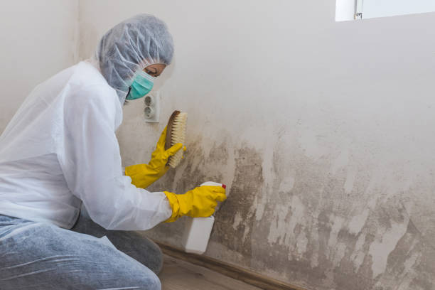 Best Mold Removal for HVAC Installations  in Salem, NJ