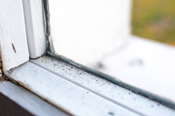 Best Dehumidification Services  in Salem, NJ