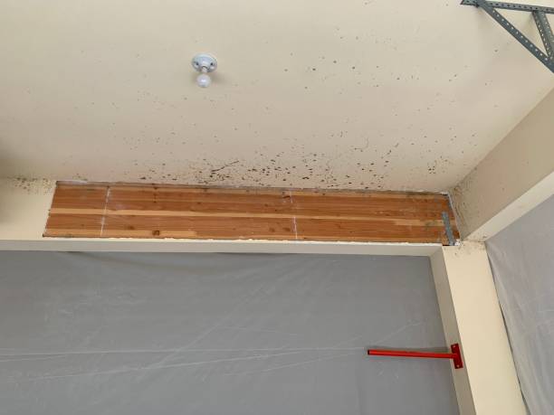 Best Post-Remediation Verification Testing  in Salem, NJ