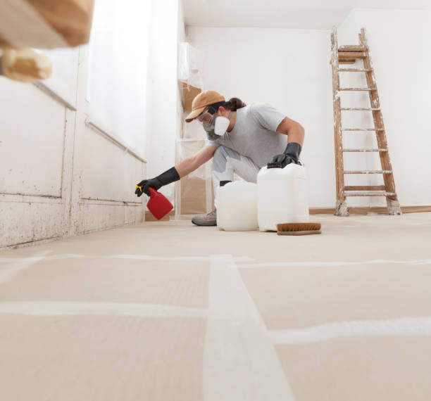 Best Industrial Mold Remediation  in Salem, NJ