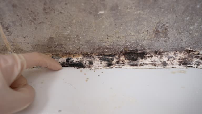 Asbestos and Lead Testing During Mold Inspection in Salem, NJ